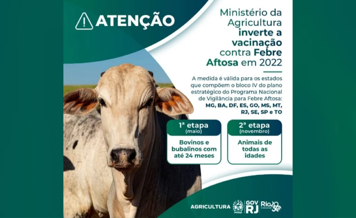 Vacinação contra a febre aftosa no ano de 2022